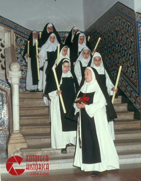 Tenorio Mendocino 1994